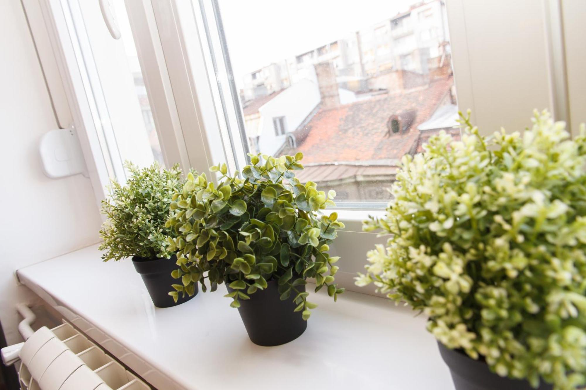 City Break Apartments - City Zen Belgrad Zewnętrze zdjęcie